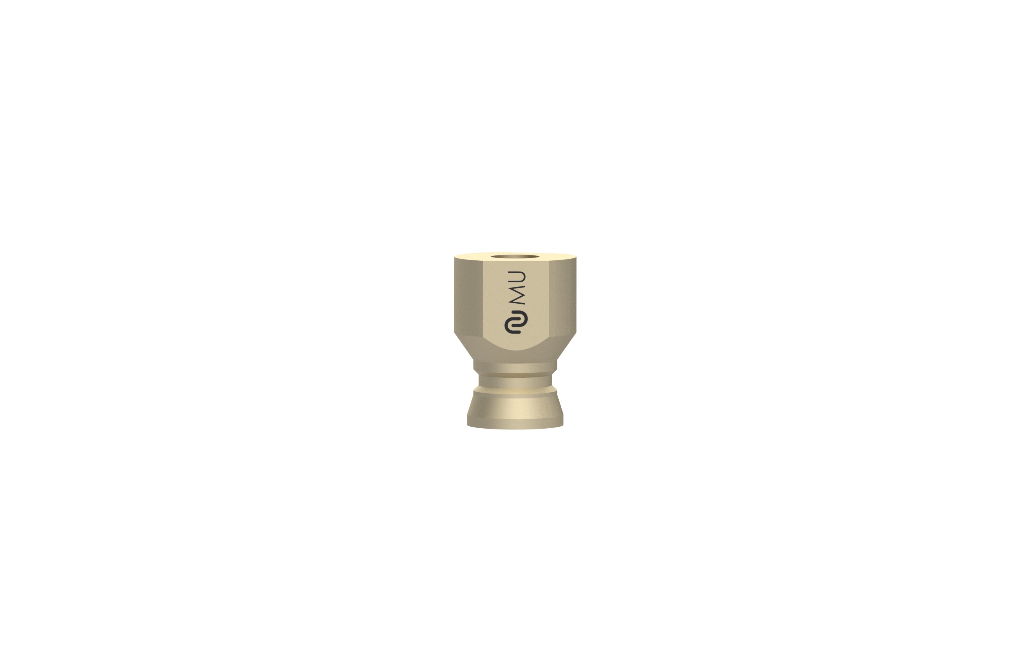 Neoss Scan Body Scanning Scan Bodies – Neoss AU